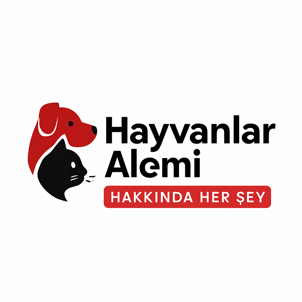 Hayvanlar Alemi